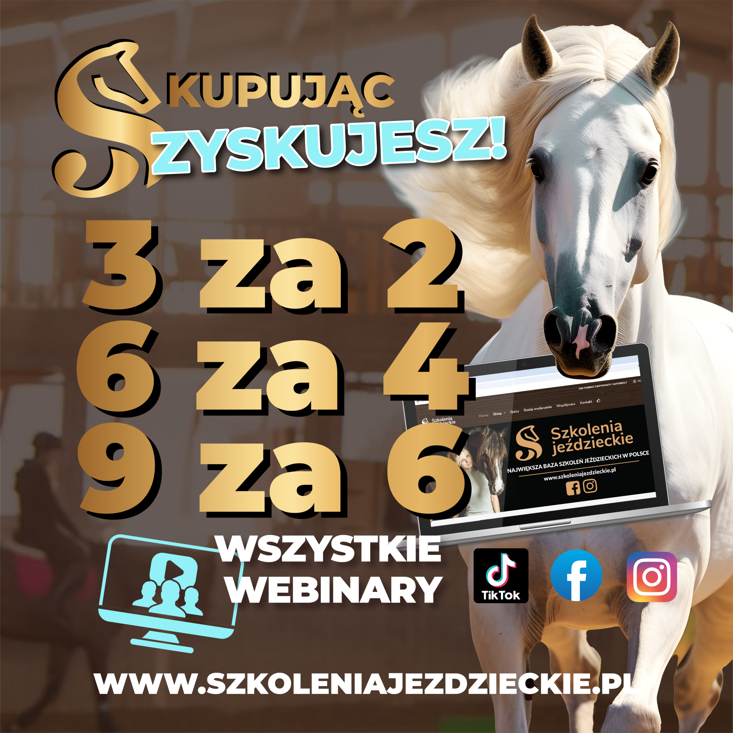 Szkolenia Jeździeckie