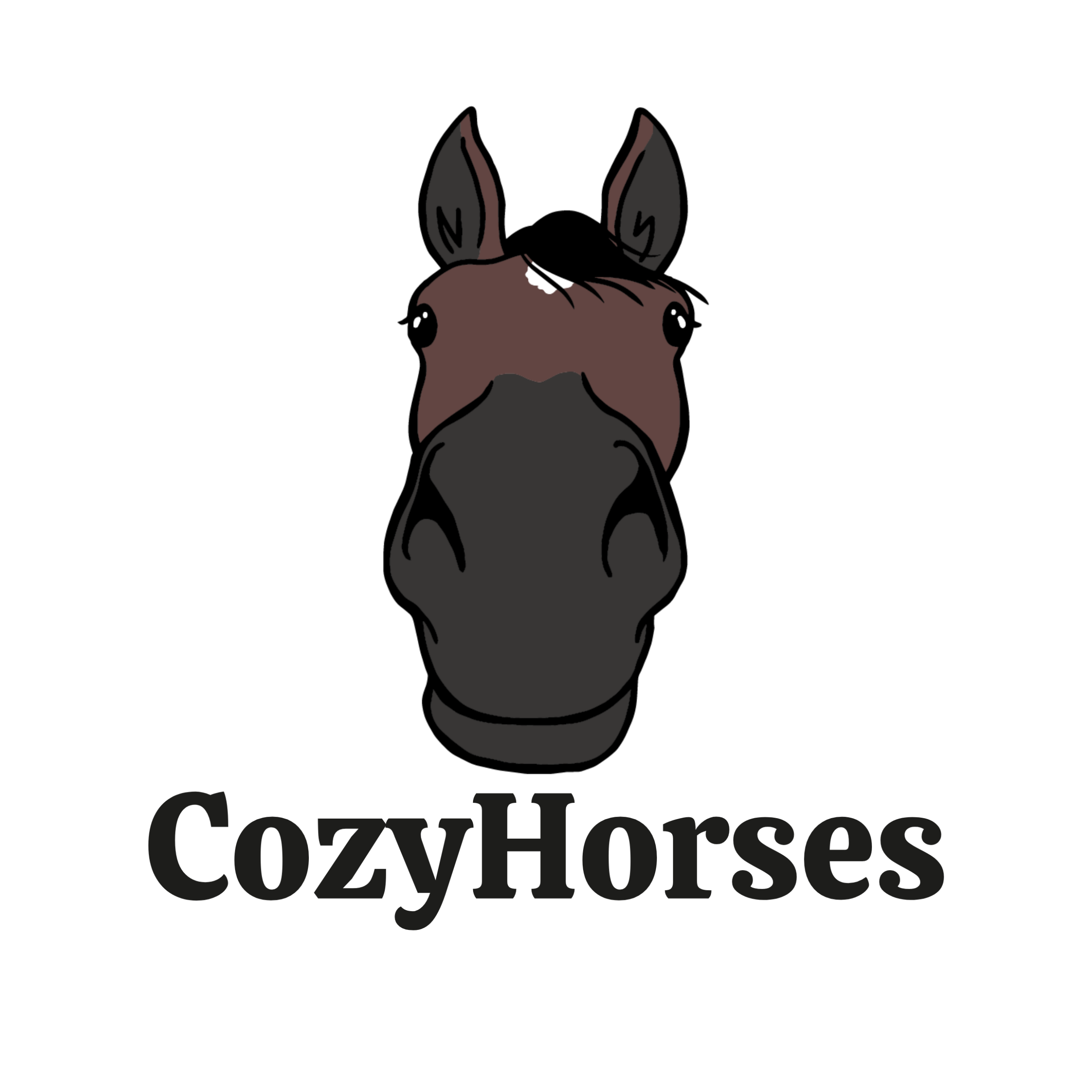 Cozy Horses – Twoje ulubione dresy do stajni