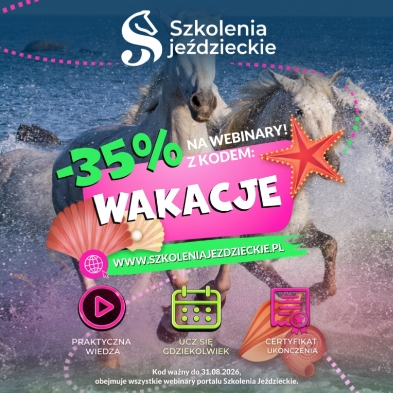 Szkolenia Jeździeckie